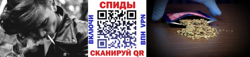 дарнет шоп Североуральск Бутират буратино