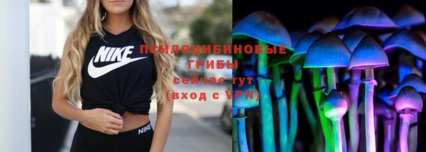МДПВ Лиски