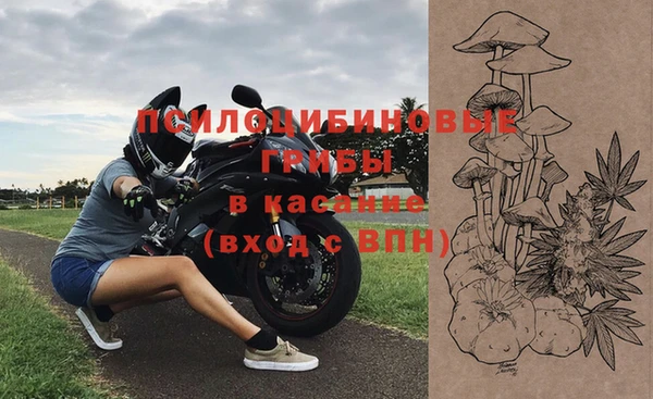 хмурый Верхний Тагил