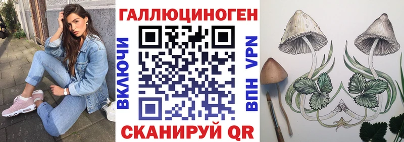 Галлюциногенные грибы Psilocybe купить наркоту Североуральск
