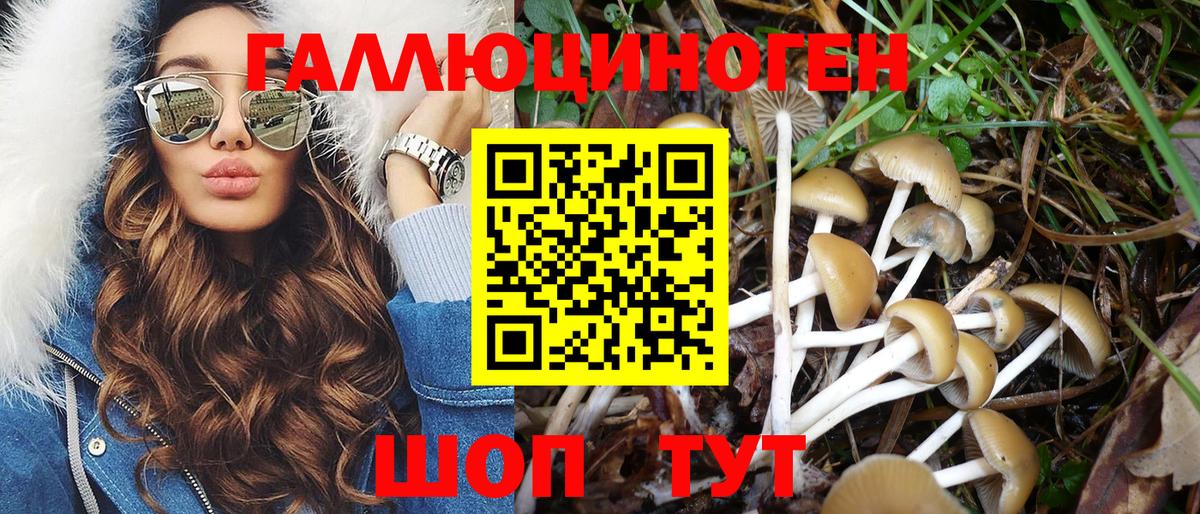 Североуральск  Галлюциногенные грибы Magic Shrooms  купить наркотики сайты  Вход с VPN 
